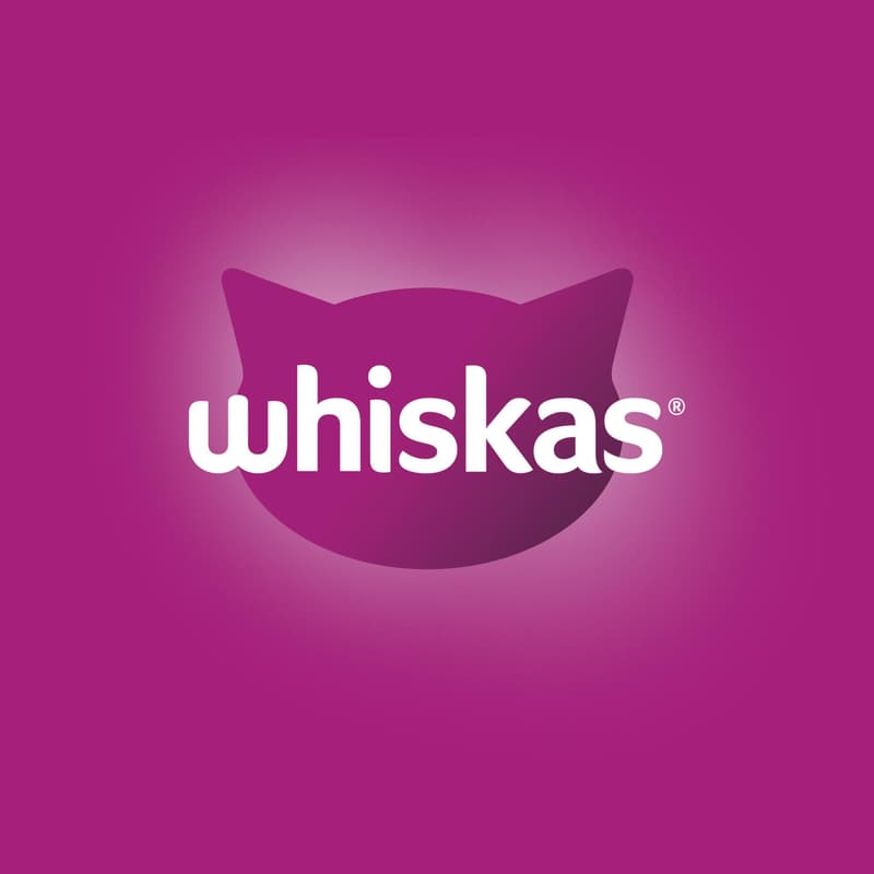 Whiskas Kapsičky drůbeží výběr v želé pro dospělé kočky 120×85 g