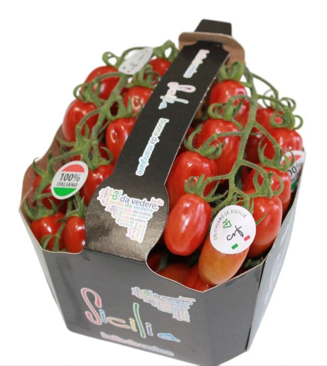 Sicilská datlová cherry rajčata na větvičce, balení