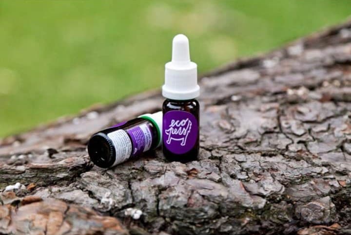 Ecopets Sérum proti klíšťatům a blechám pro psy