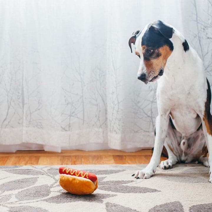 P.L.A.Y. Hot Dog hračka pro psy