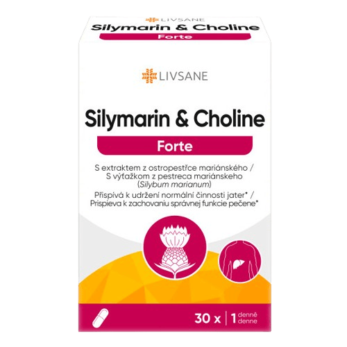 LIVSANE Silymarin & Cholin Forte tob.30