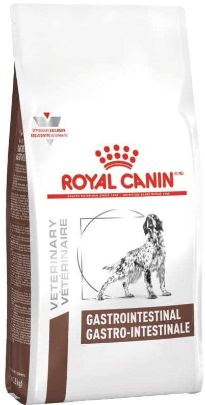 Royal Canin Dry Gastrointestinal kibble for dogs