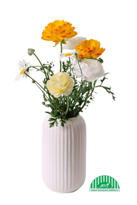 Vitenplant BIO Ranunculus "Romance"