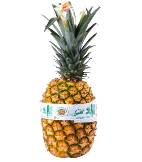 Kunratická stodola - Letecky dovážený ananas ready to eat (cca 1,5 kg)
