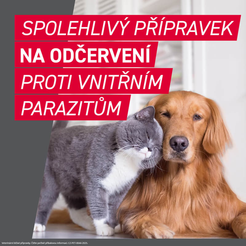 Frontcontrol Wormer 230/20mg pro kočky tbl.2