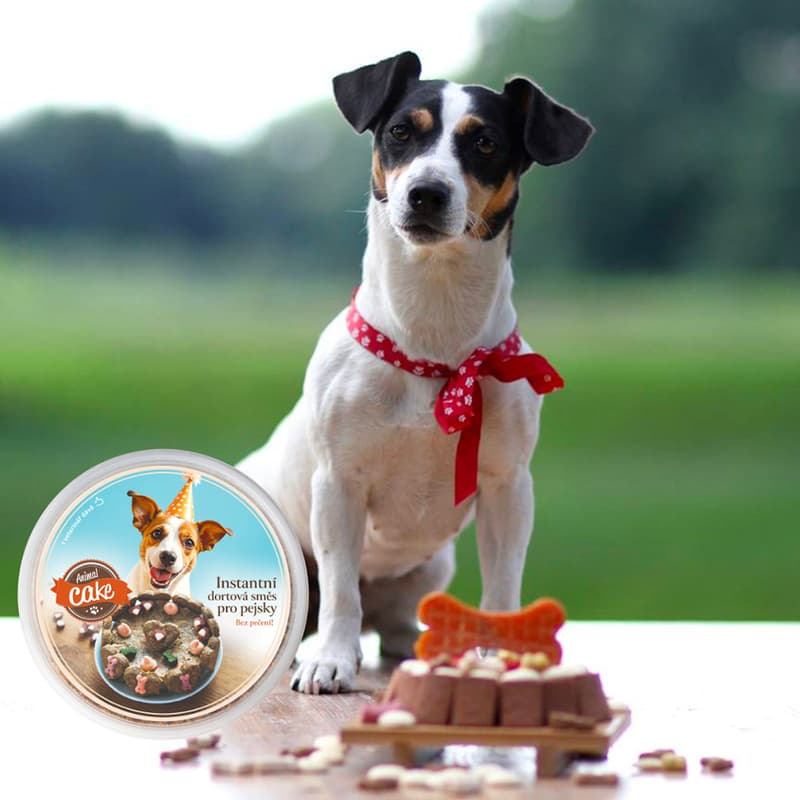 Animal Cake cake for dogs