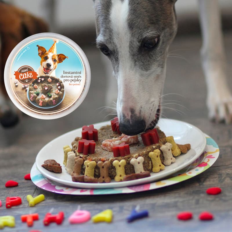 Animal Cake cake for dogs