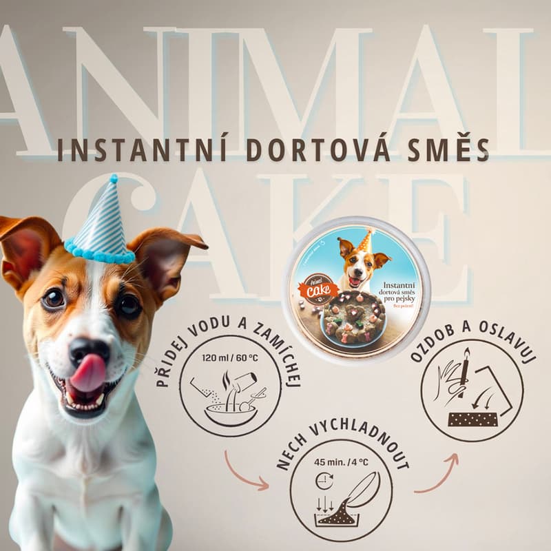 Animal Cake cake for dogs