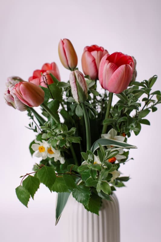 Vitenplant BIO Kytice jarní "Double joy"