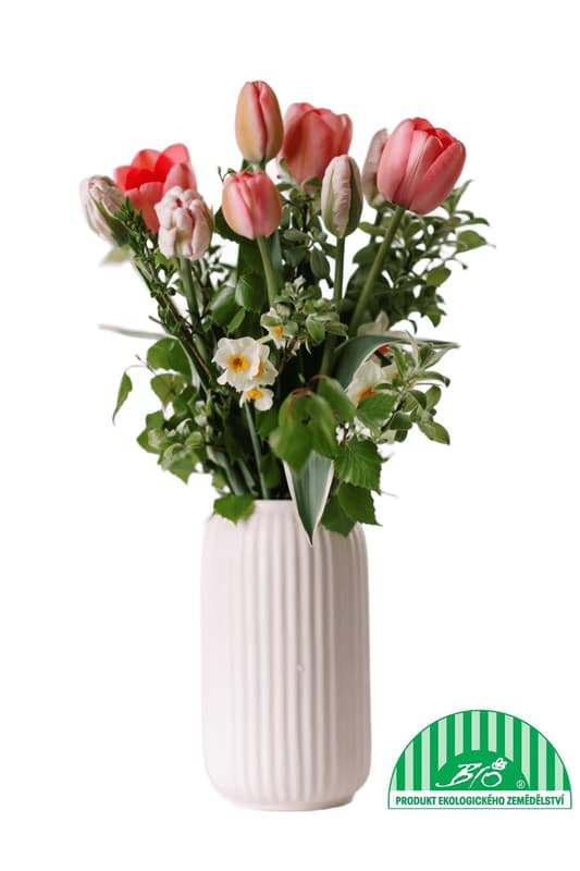Vitenplant BIO Kytice jarní "Double joy"