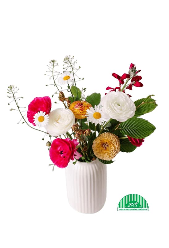 Vitenplant BIO Summer bouquet "Beautiful sunset"