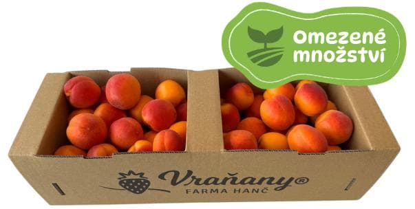 Farm Vraňany Fresh apricots, basket