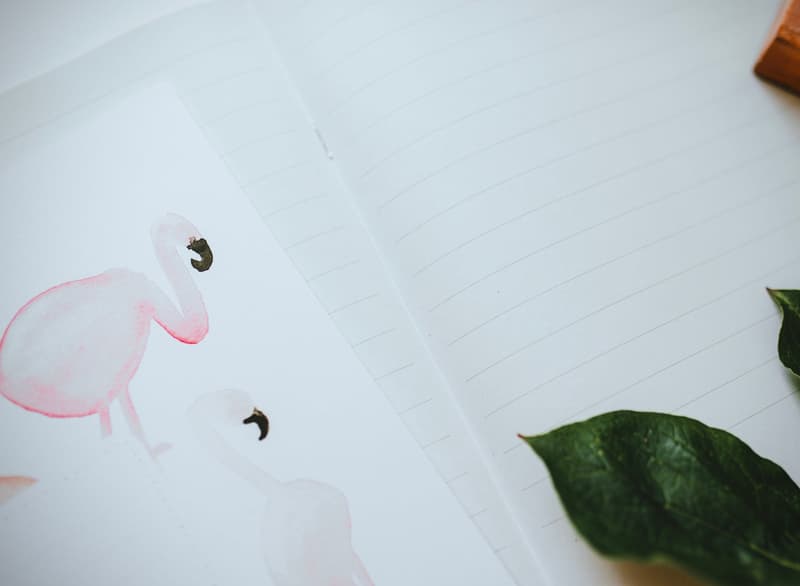 Be Nice ECO Notebook A4 lined, flamingos, No. 424