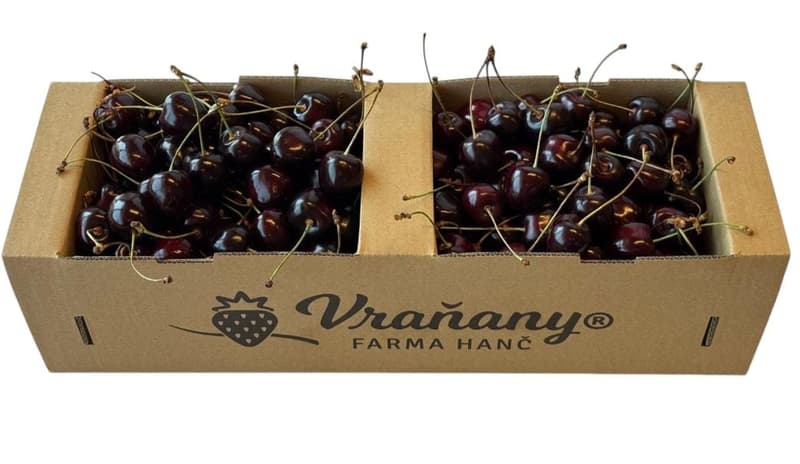 Farma Vraňany Třešně čerstvé, košík
