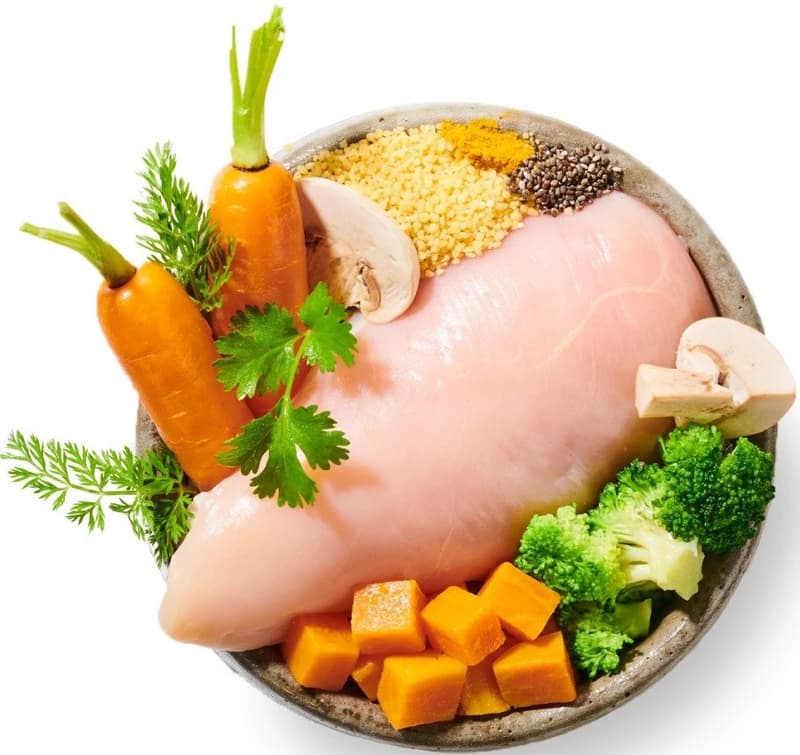 BiBi FOOD Chicken from chicken - cooked dog food