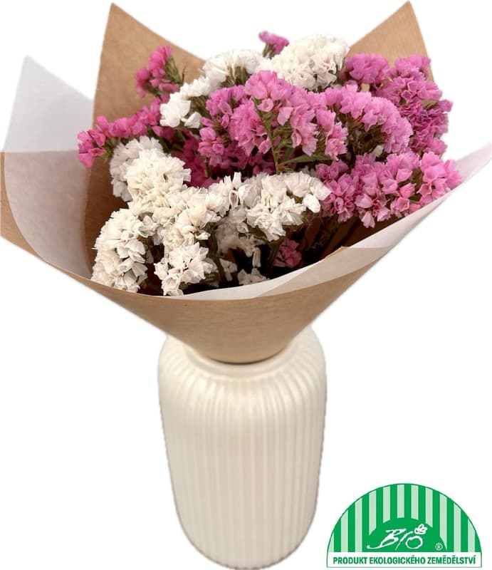 Vitenplant BIO Sušená kytice statice "Happy Rose"