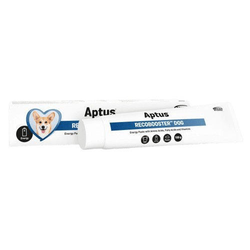 APTUS Recobooster Dog energetická pasta 100g