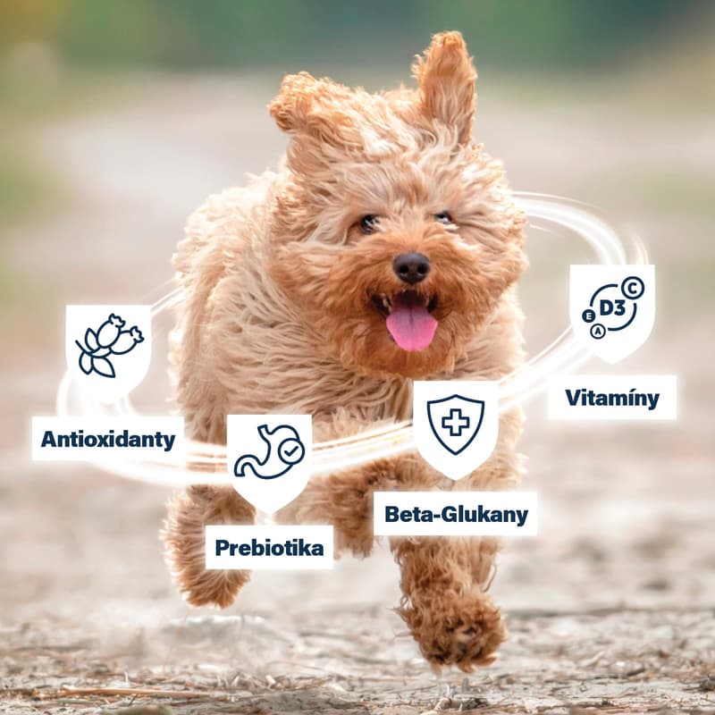 Polaris Imunity Small & Mini hovězí krmivo pro psy