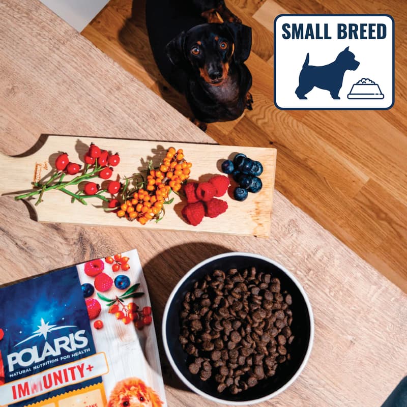 Polaris dry food FM GF dog Immunity small&mini turkey