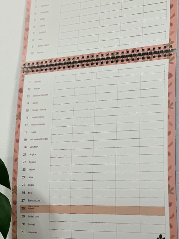 Be Nice ECO Family wall calendar