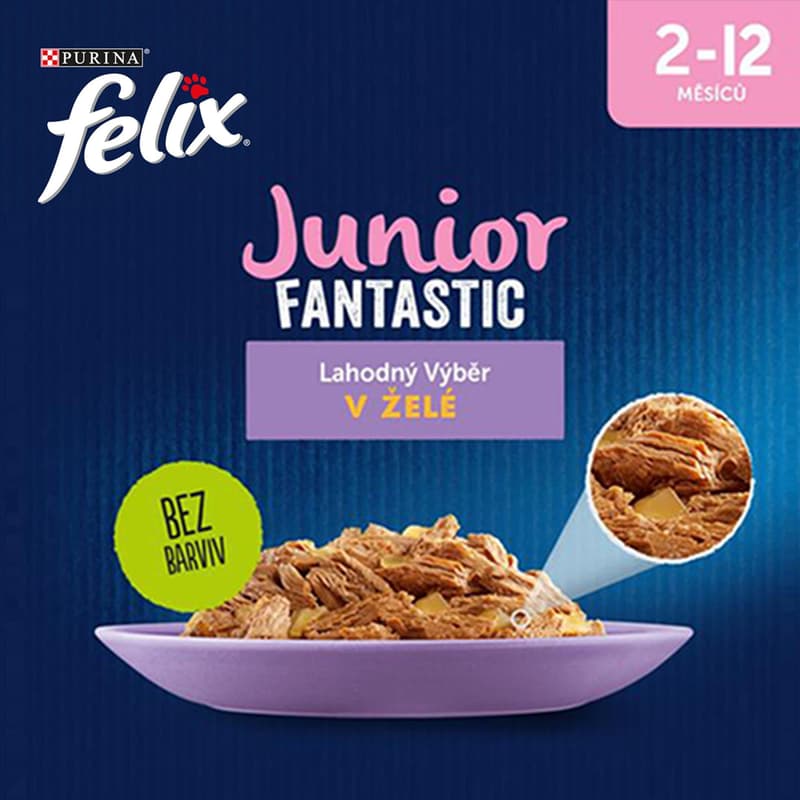 Felix Fantastic Junior kapsičky pro koťata hovězí, kuře, sardinky, losos v želé 12×85 g