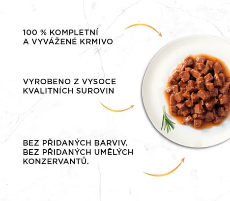 GOURMET Gold Multipack beef/turkey with duck/salmon with chicken/chicken with liver in gravy