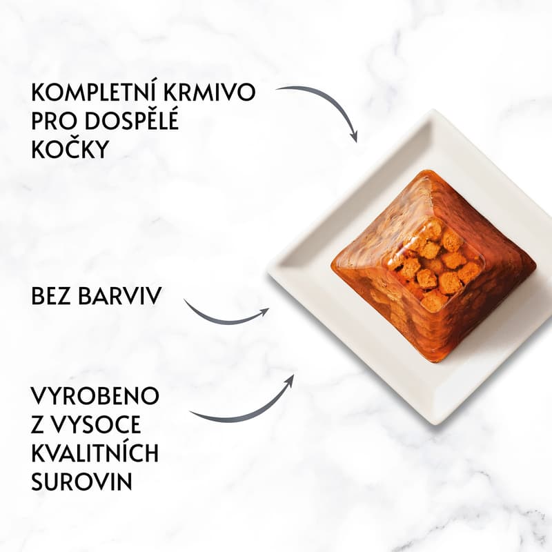 Gourmet Revelations jemné kousky s lososem v želé pro kočky 2×57 g