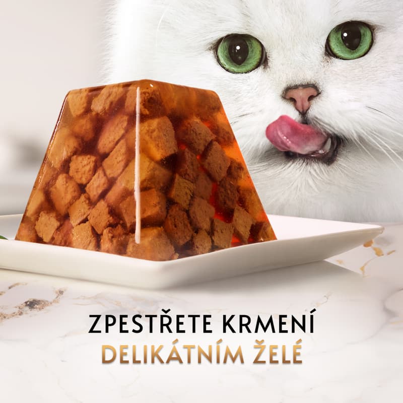 Gourmet Revelations jemné kousky s lososem v želé pro kočky 2×57 g