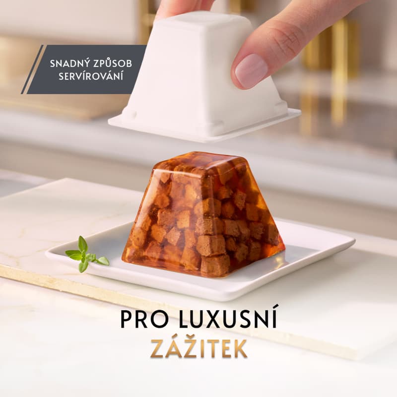 Gourmet Revelations jemné kousky s lososem v želé pro kočky 2×57 g