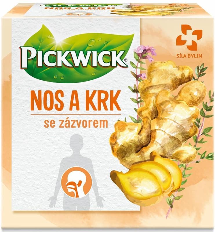 Pickwick Nos a krk