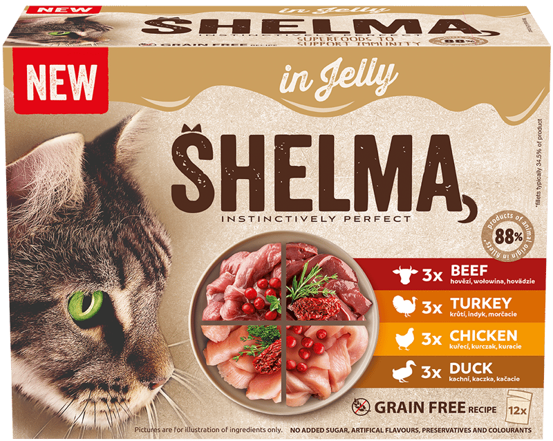 Shelma Sada kapsiček v želé pro kočky 12×85 g