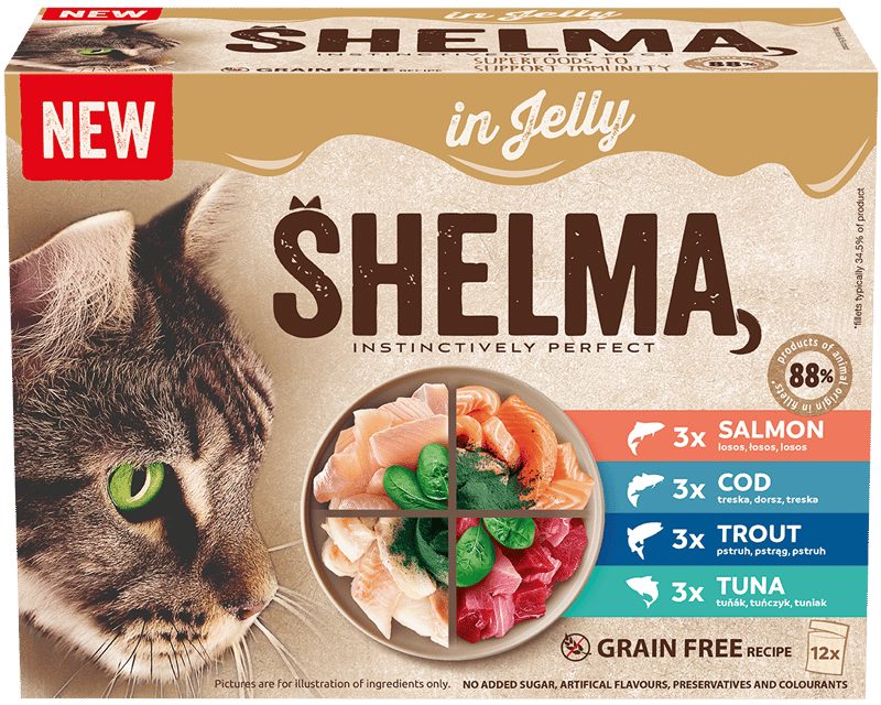12x85g Shelma GF NM pouch cat fish mix in jelly