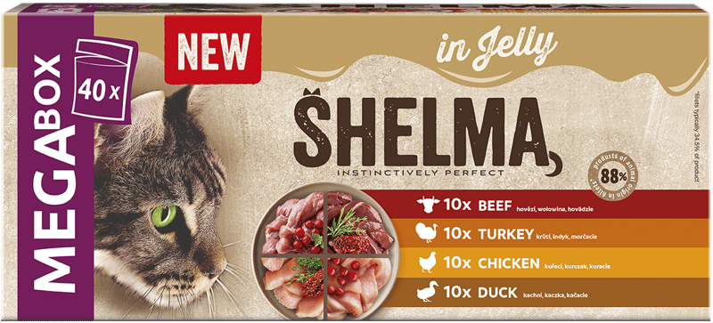 40x85g Shelma GF NM pouch cat 4 types of meat