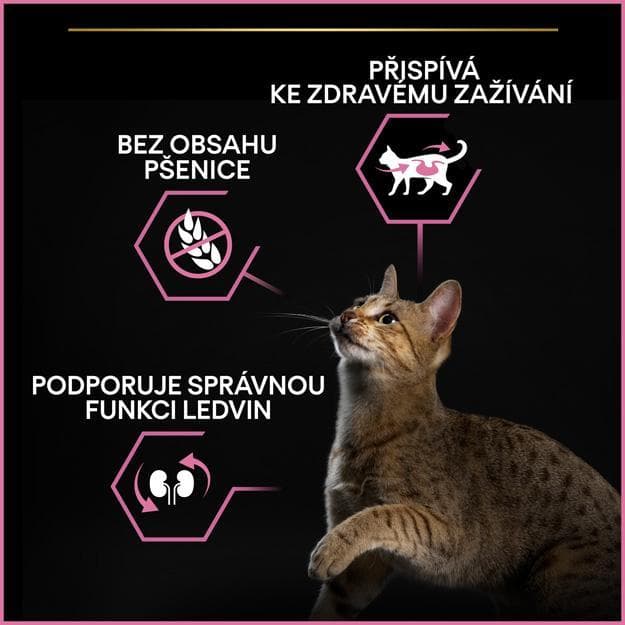 Pro Plan Adult Sterilised Delicate Digestion kuře granule pro kočky