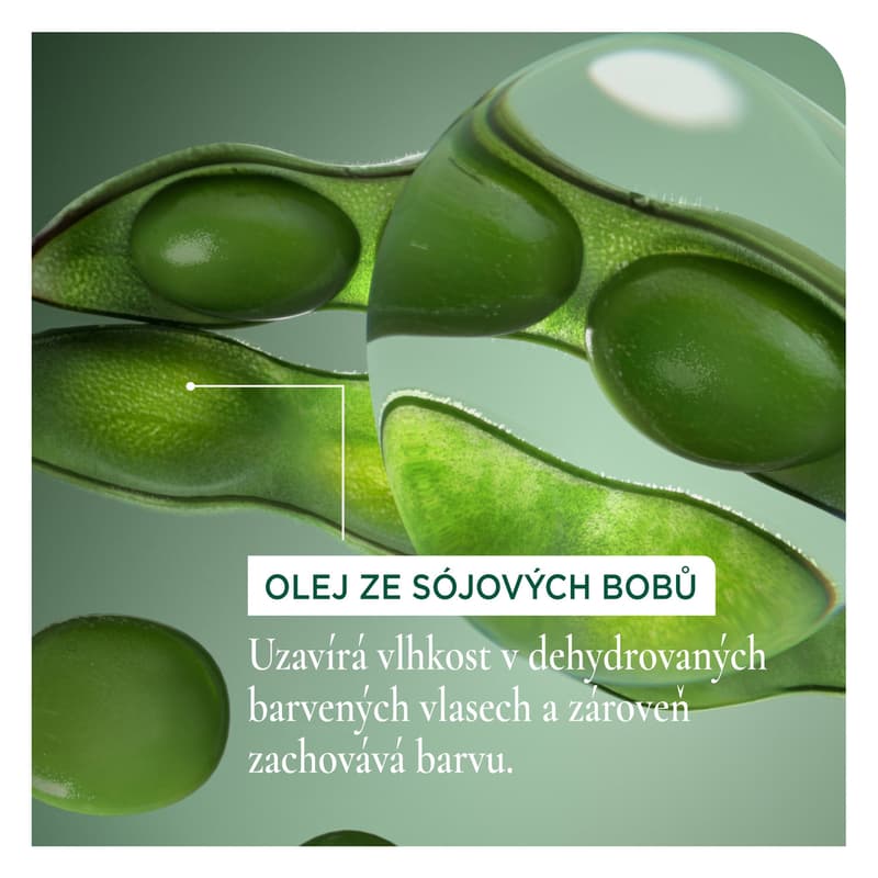 Biolage Color Last shampoo
