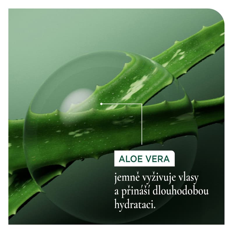 Biolage Hydrasource kondicionér pro suché vlasy