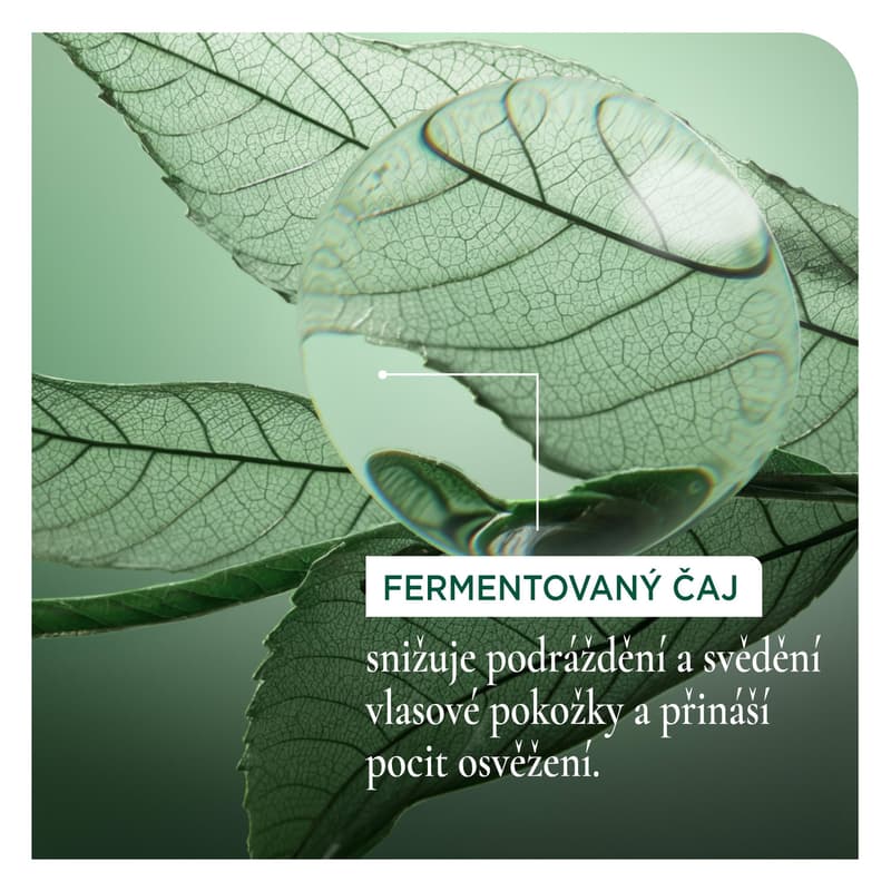 Biolage ScalpSync šampon proti lupům