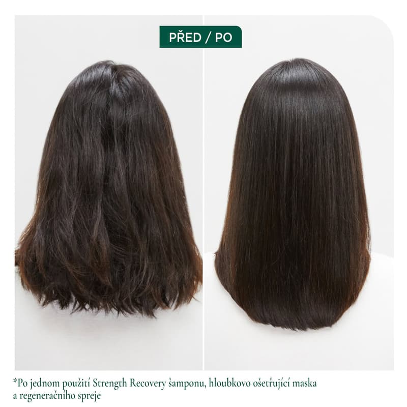 Biolage Recovery shampoo