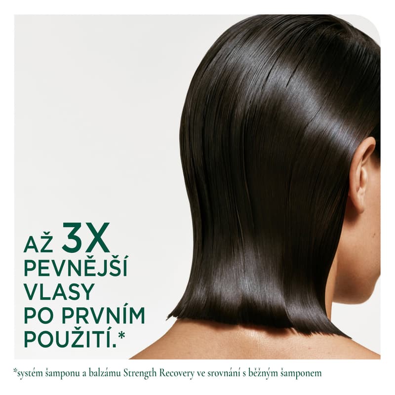 Biolage Recovery conditioner