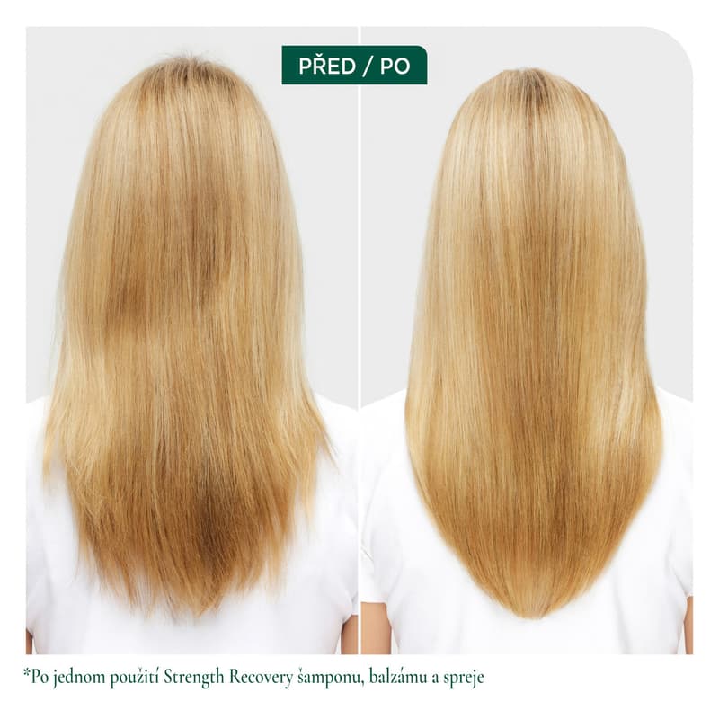 Biolage Recovery conditioner