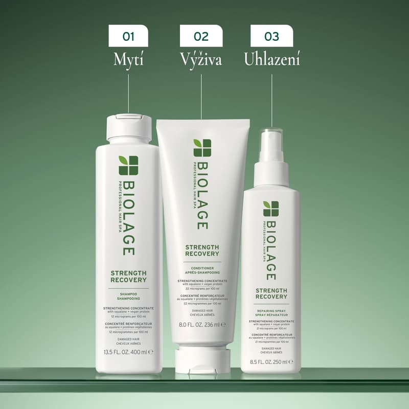 Biolage Recovery conditioner