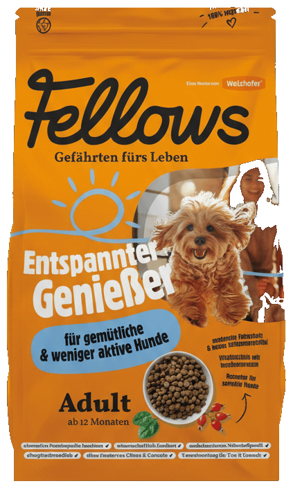 Fellows Entspannter Genießer hmyzí granule pro městské a méně aktivní psy