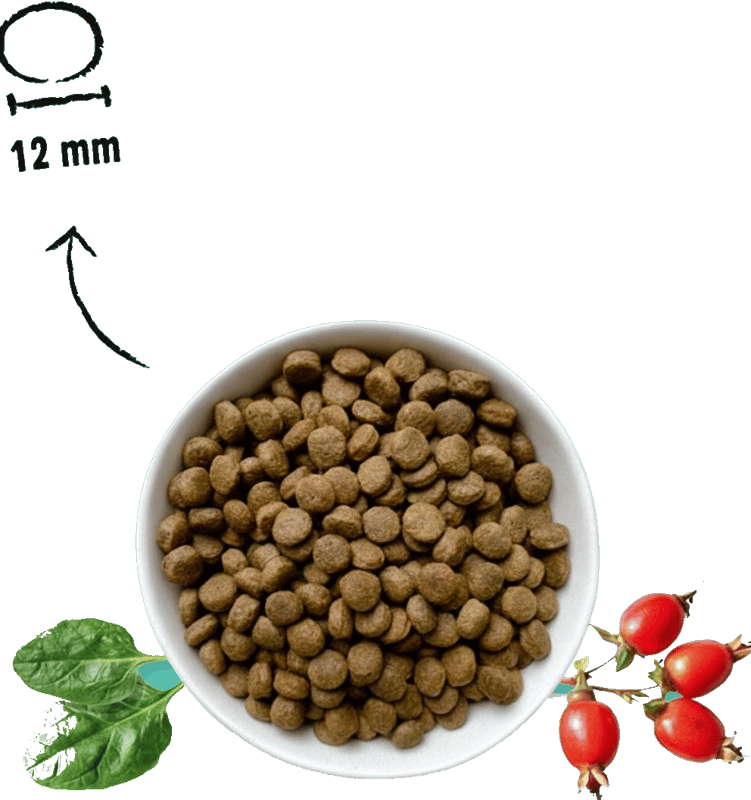 Fellows Entspannter Genießer hmyzí granule pro městské a méně aktivní psy