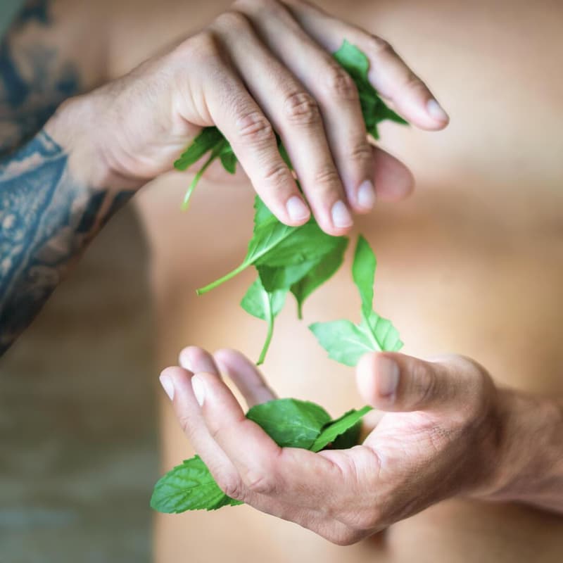 Tierra Verde Sprchový gel pro muže 3v1 – energie máty