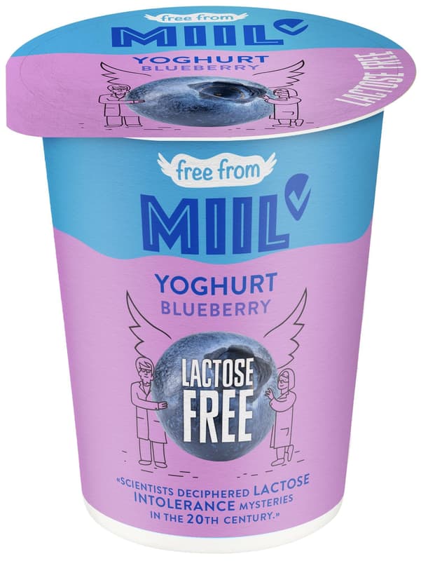 Miil Krémový jogurt borůvka bez laktózy