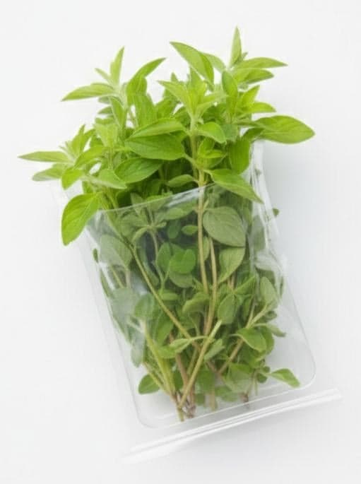 Marjoram cut, tray