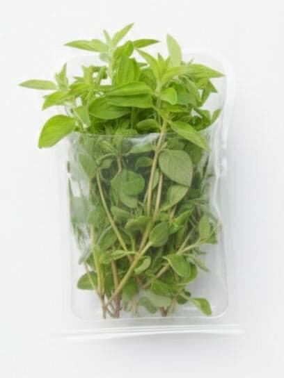 Oregano cut, tray