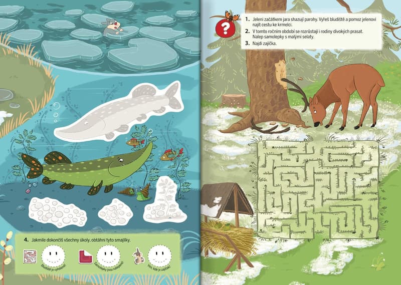 Forest animals Spring
