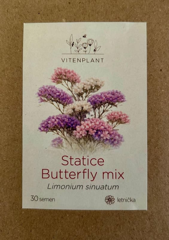 Vitenplant Statice Mix, seeds
