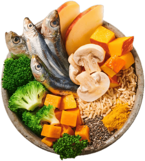 BiBi Food Fish from water – cooked dog food